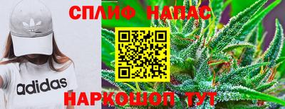 a pvp Камышлов