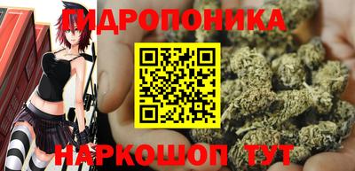кокс Кандалакша