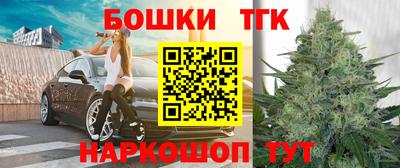 a pvp Камышлов