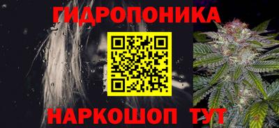 кокс Кандалакша