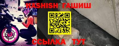 a pvp Камышлов