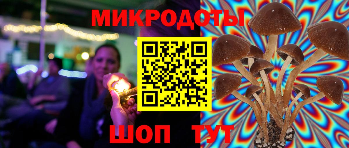 Галлюциногенные грибы мицелий Кыштым