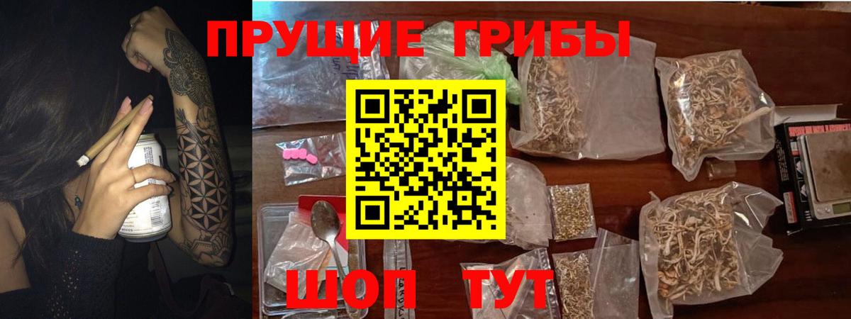 Псилоцибиновые грибы MAGIC MUSHROOMS  Вход с VPN  Кыштым 
